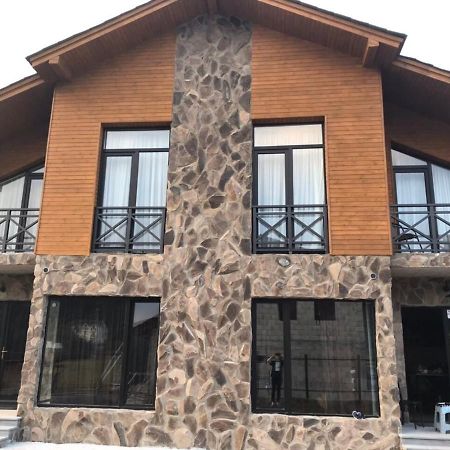 Bakuriani Cozy Villa #4 Zewnętrze zdjęcie